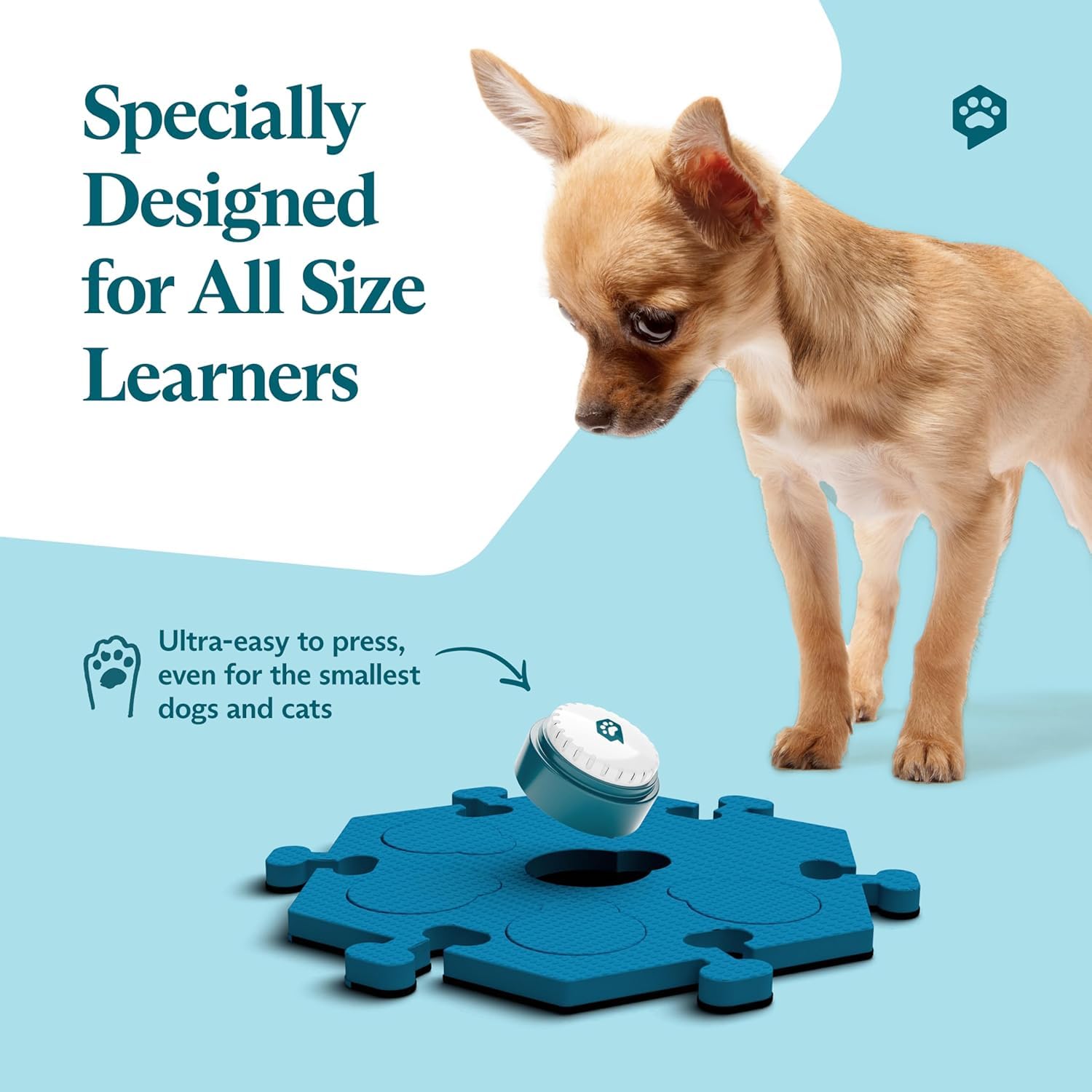 Amazon.com: FluentPet Speak Up! Key Vocab Kit with Clearer